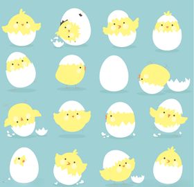 小鸡