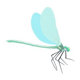 蜻蜓