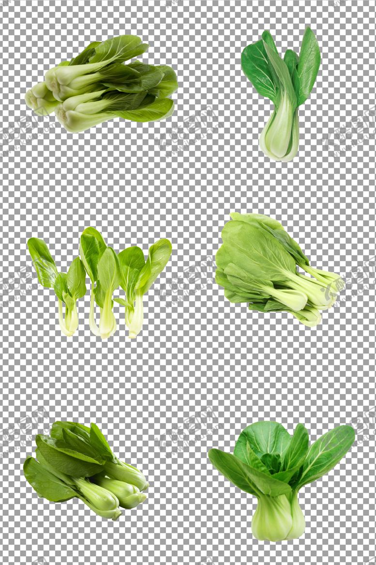 编号：78466510110641413979【酷图网】源文件下载-新鲜青菜