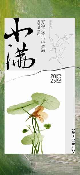 小满海报荷花清新简约二十四节气