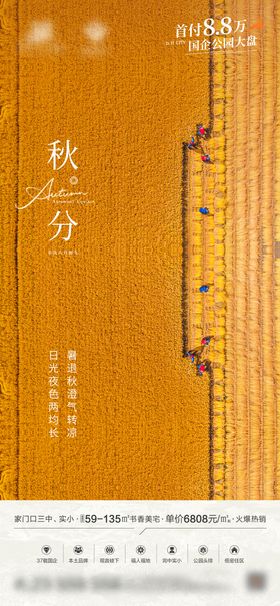 秋分节气海报