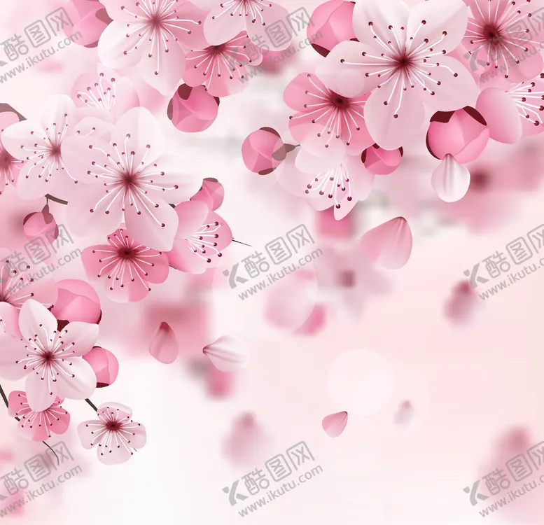 编号：64287806292019282187【酷图网】源文件下载-樱花