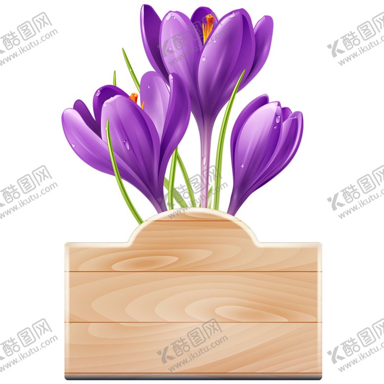 编号：68688209160329342657【酷图网】源文件下载-鲜花素材