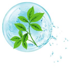 水花浪底纹珠浪图案