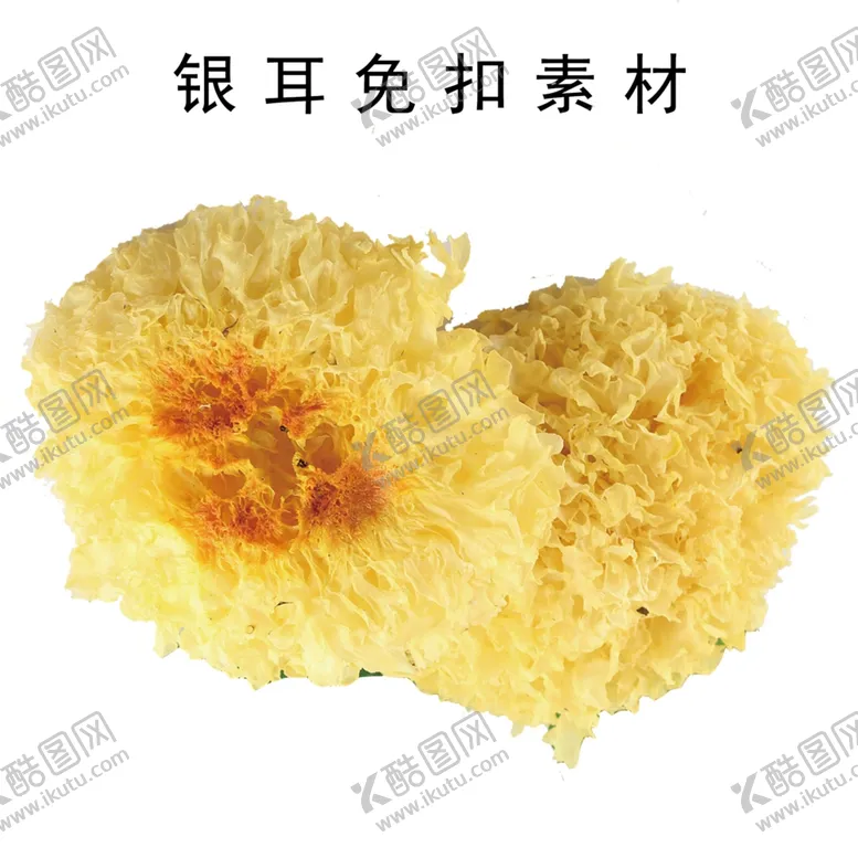 编号：36636907031226246182【酷图网】源文件下载-银耳免扣素材
