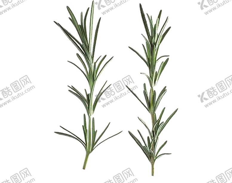 编号：13463210090122427501【酷图网】源文件下载-绿色相框