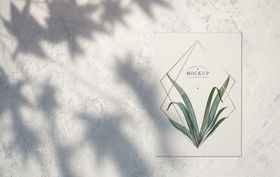 简约风阴影照片展示