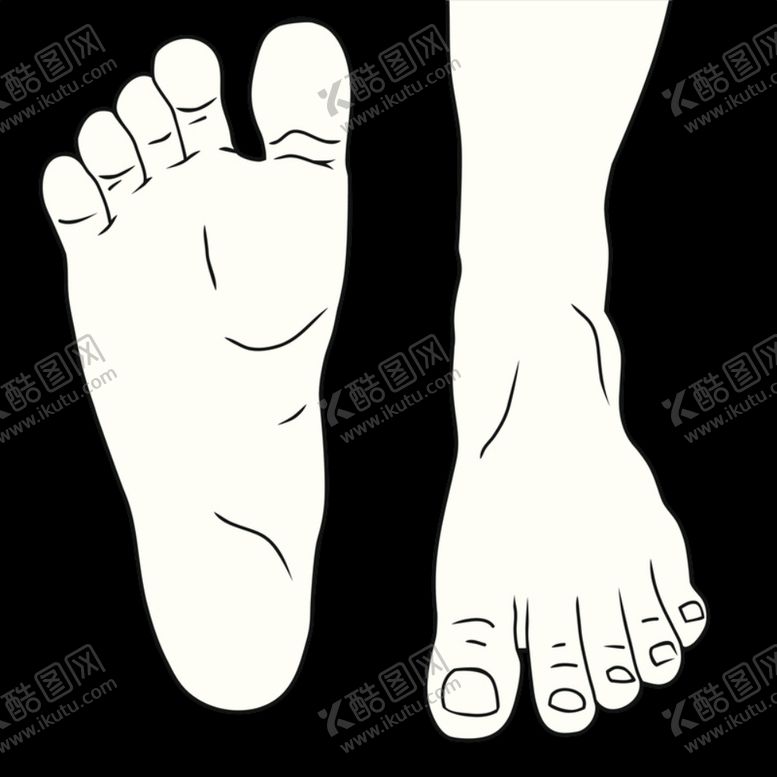 编号：87102210011721192223【酷图网】源文件下载-线描的脚脚趾头走路的脚掌