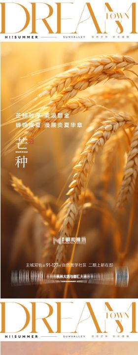 芒种二十四节气节日海报麦芒麦田