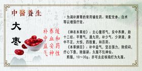 中医养生大枣药药材科药药店