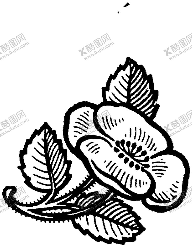 编号：50160205041523167867【酷图网】源文件下载-花纹边框