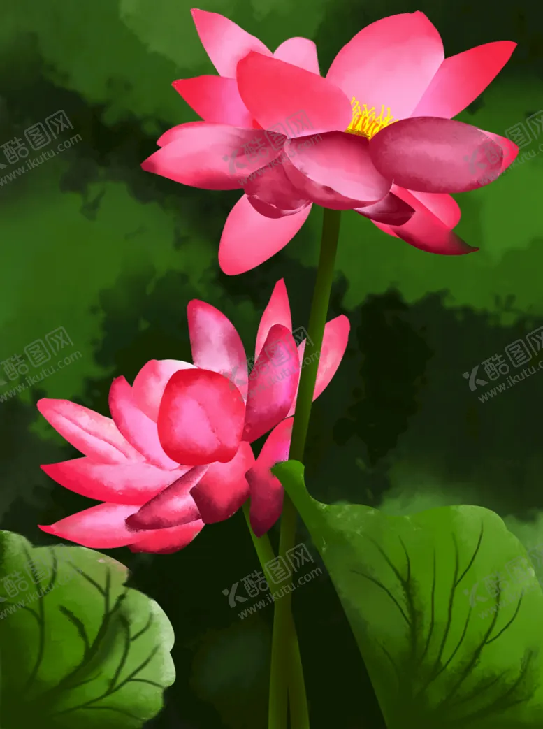 编号：35446210232020567014【酷图网】源文件下载-荷塘荷花图