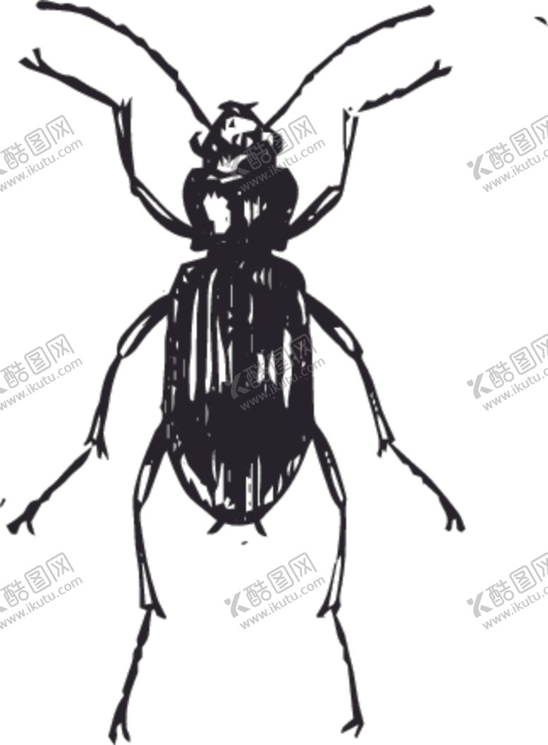 编号：50478507130434446699【酷图网】源文件下载-自然昆虫标本插画