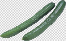 黄瓜