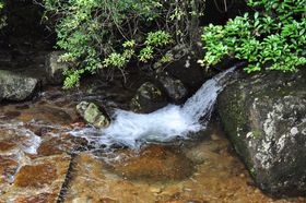 富硒山泉水海报