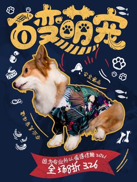 萌宠