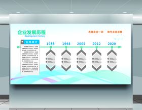 企业发展历程