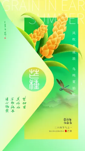 芒种