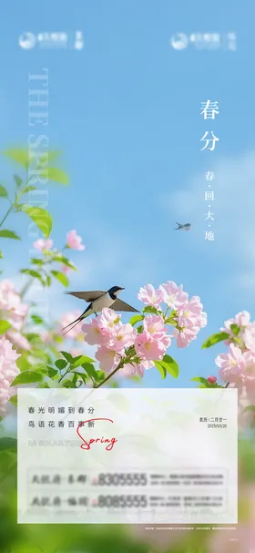 春分节气海报二十四意境小清新
