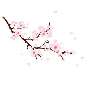 梅花桃花PNG