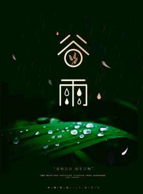 谷雨海报节气活动