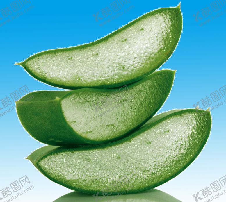 编号：66245810012309261988【酷图网】源文件下载-芦荟素材