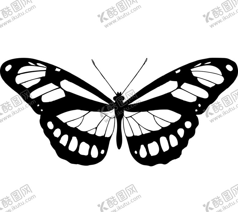 编号：55939307050237299640【酷图网】源文件下载-蝴蝶
