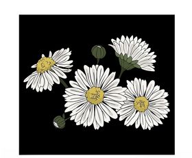 盆栽菊花矢量图