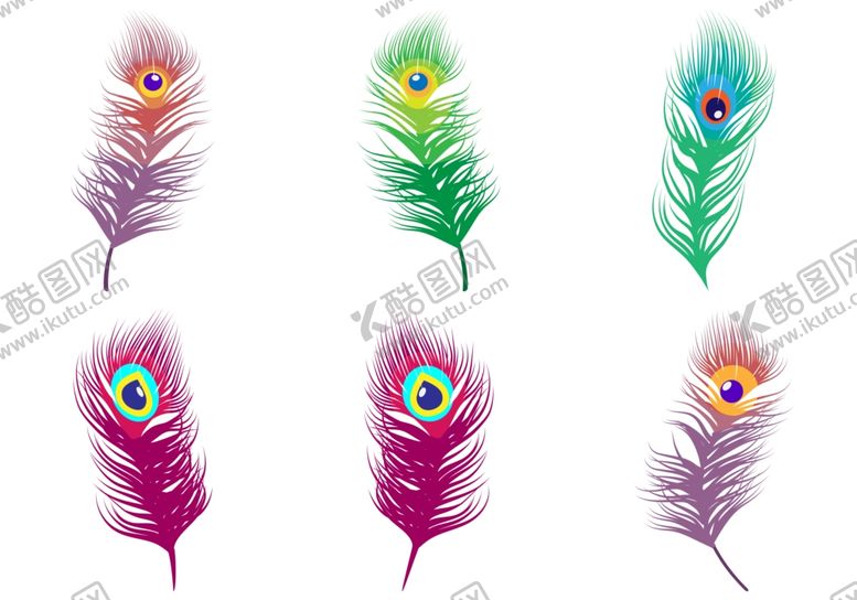 编号：68434409280828284882【酷图网】源文件下载-孔雀羽毛
