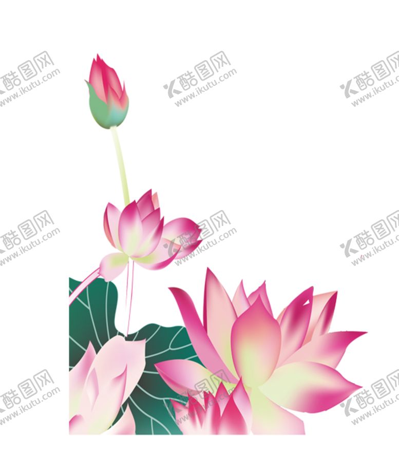 编号：34237007052200381571【酷图网】源文件下载-荷花元素