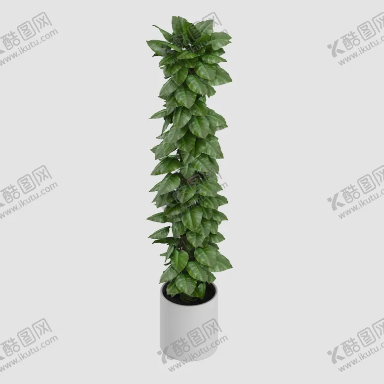 编号：59239706291121065124【酷图网】源文件下载-植物盆景