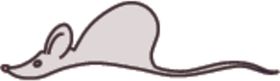 老鼠简笔画