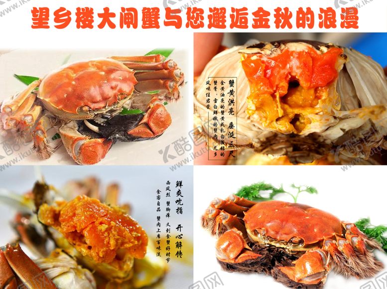编号：88421103241433598582【酷图网】源文件下载-大闸蟹