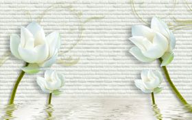 瓷砖品牌画B