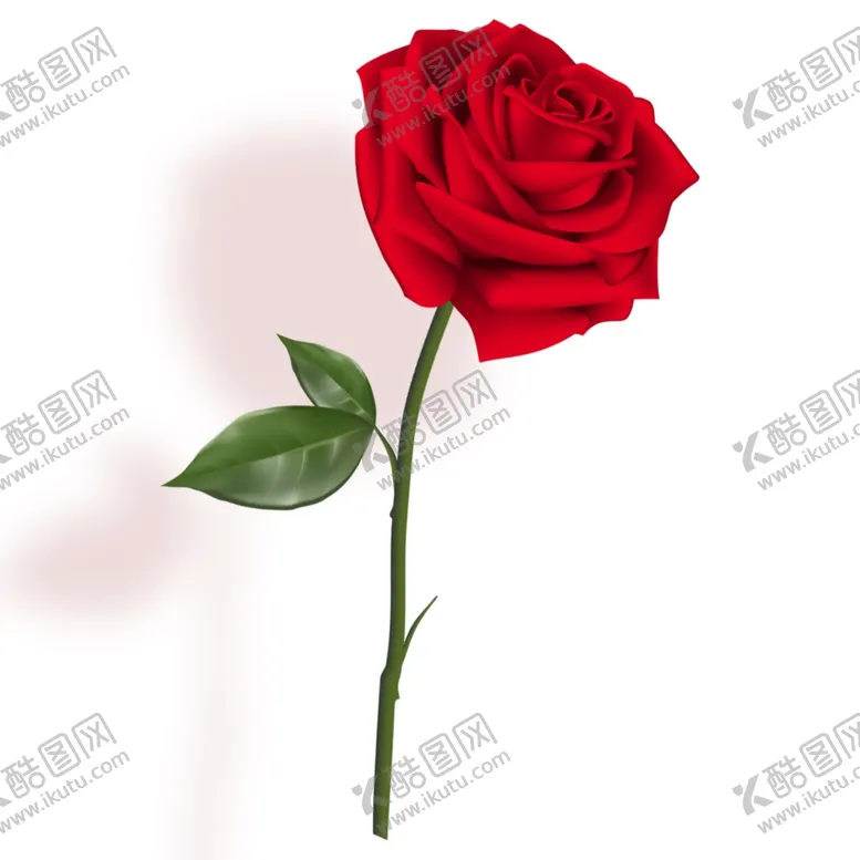 编号：57473604191313363843【酷图网】源文件下载-玫瑰
