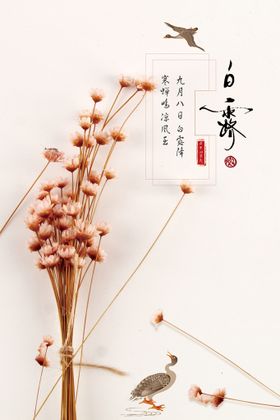 中式风白露24节气海报