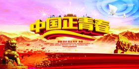 中国新力量