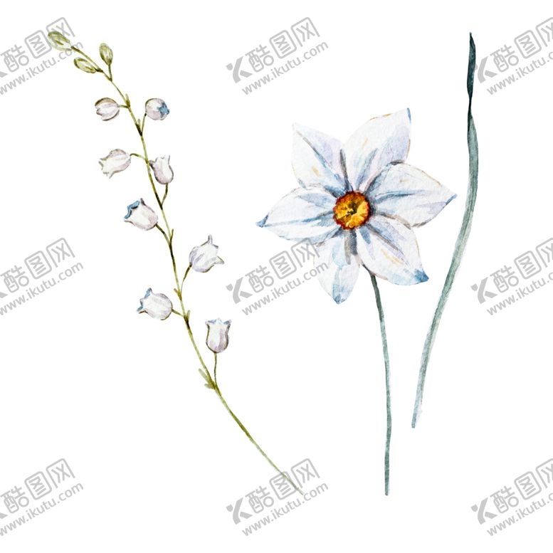 编号：71483509280641476791【酷图网】源文件下载-手绘植物