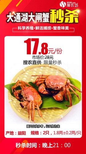 大通湖大闸蟹2只秒杀