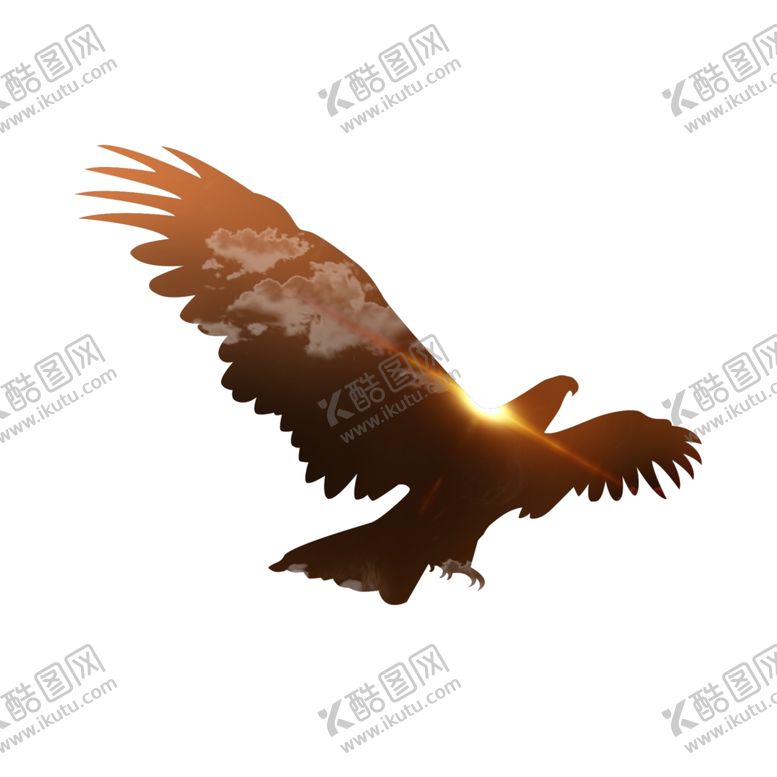 编号：24438009290736164886【酷图网】源文件下载-鹰创意剪影墙面贴画