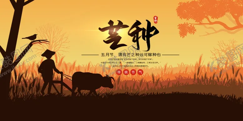 编号：14443701171706077544【酷图网】源文件下载-芒种