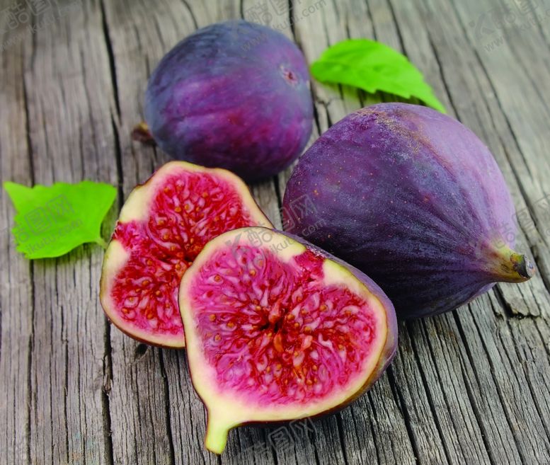 编号：25222709282250373555【酷图网】源文件下载-无花果