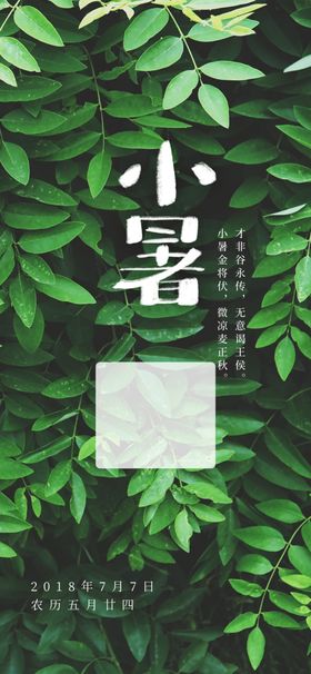 小暑节气图片