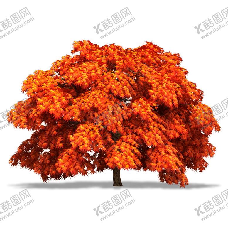 编号：99319811011843157381【酷图网】源文件下载-水杉