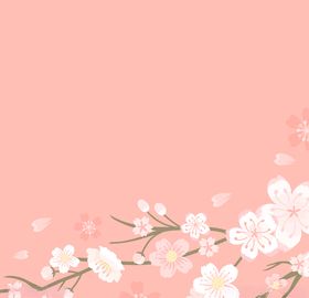 樱花
