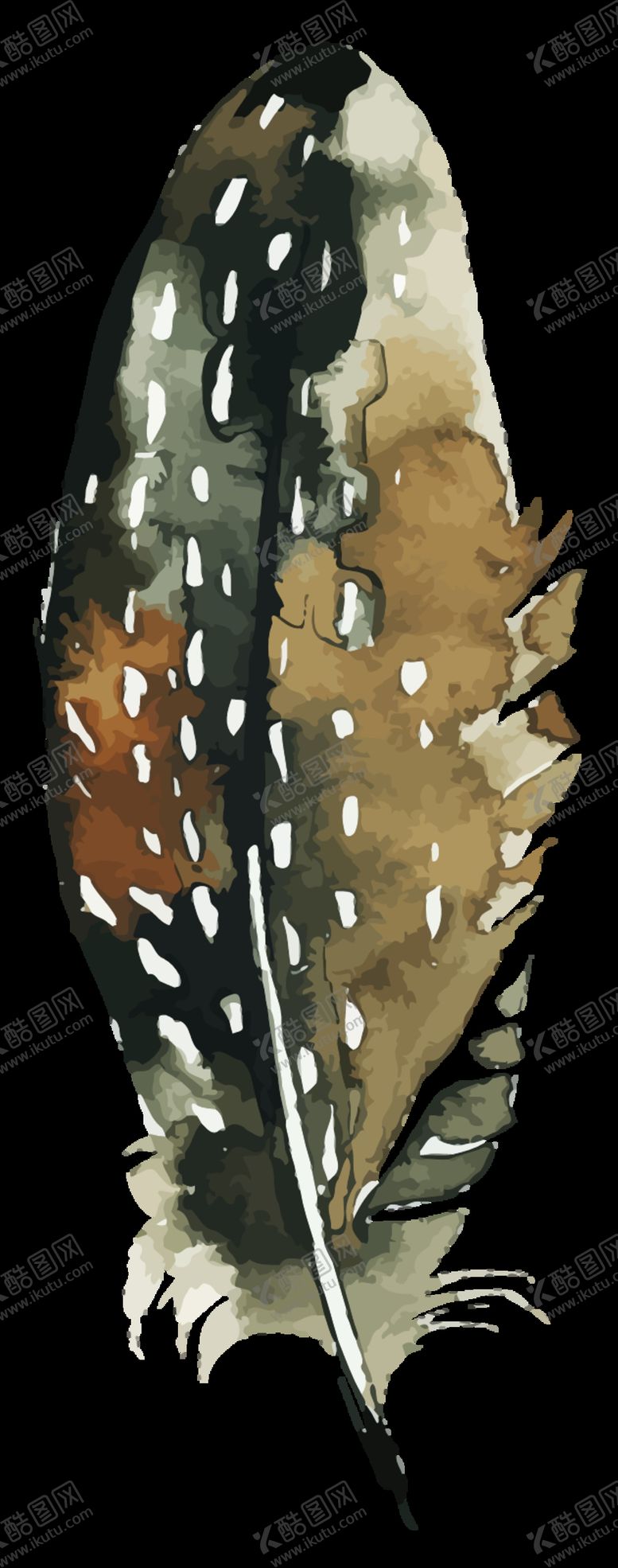 编号：11586310011228127457【酷图网】源文件下载-水彩羽毛图案