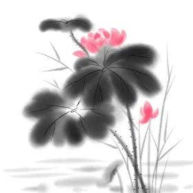 荷花素材叶插画插画国潮