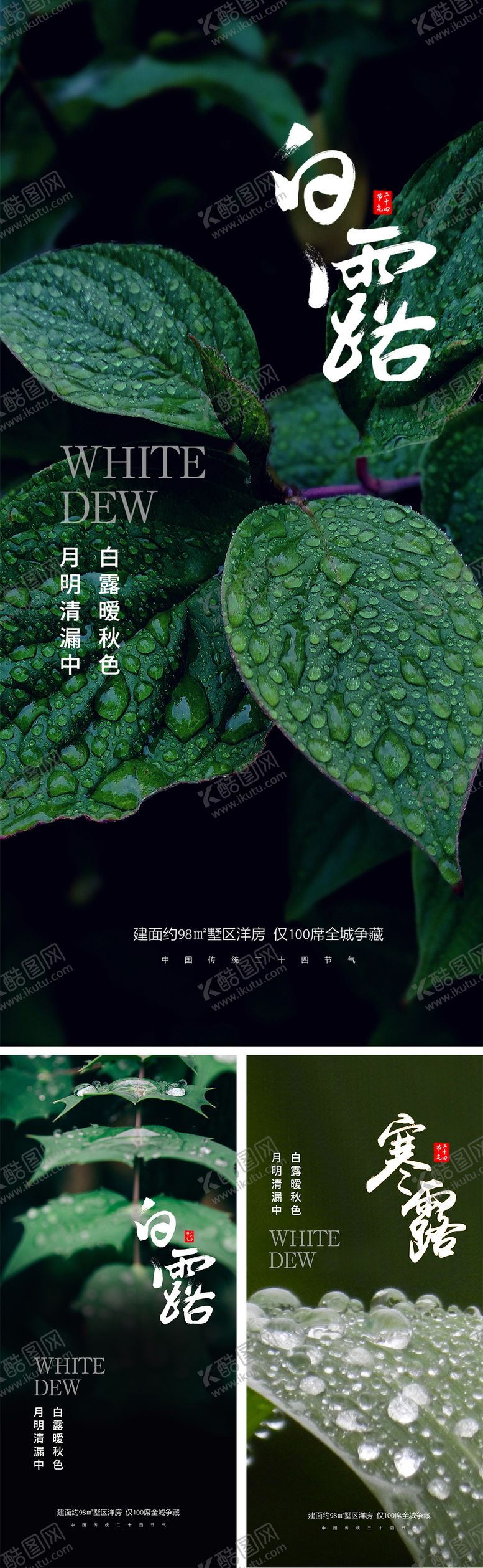 编号：60002311230344405093【酷图网】源文件下载-白露寒露节气海报