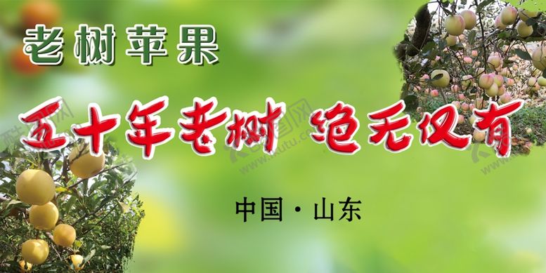 编号：24333110131233124056【酷图网】源文件下载-苹果标签