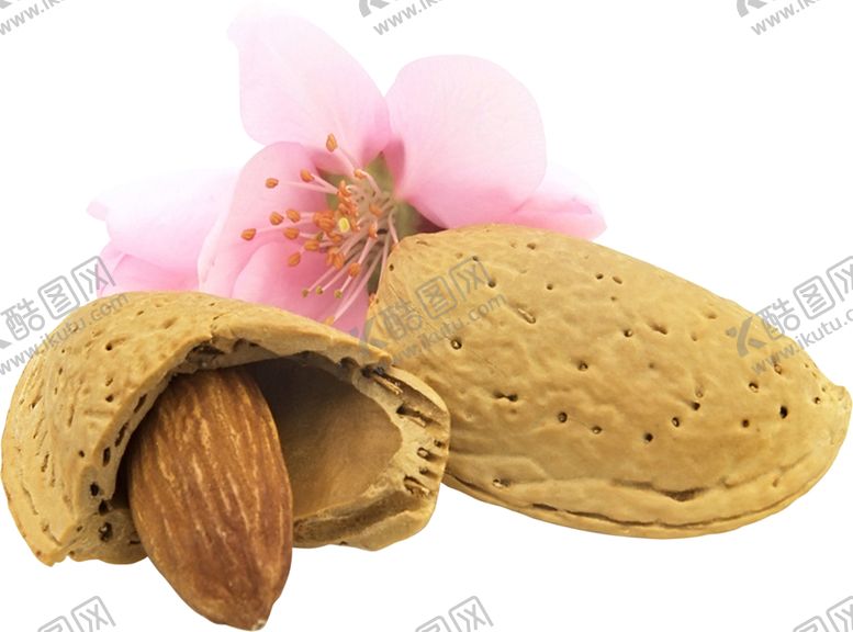 编号：45378409281347162223【酷图网】源文件下载-杏仁